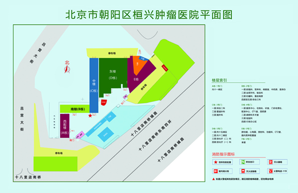 日本肉动漫三区北京市朝阳区桓兴肿瘤医院平面图